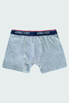 Picture of Erkek Çocuk Boxer 3'lü Paket Renkli, Pamuklu ve Likralı Esnek Kumaş