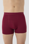 Picture of Erkek Bordo Bambu Boxer