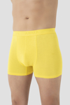 Picture of Erkek Sarı Bambu Boxer