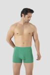 Picture of Erkek Yeşil Bambu Boxer