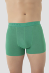 Picture of Erkek Yeşil Bambu Boxer
