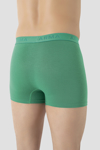Picture of Erkek Yeşil Bambu Boxer